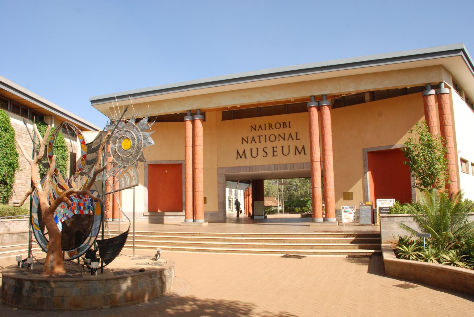 Discovering Our Prehistoric Past